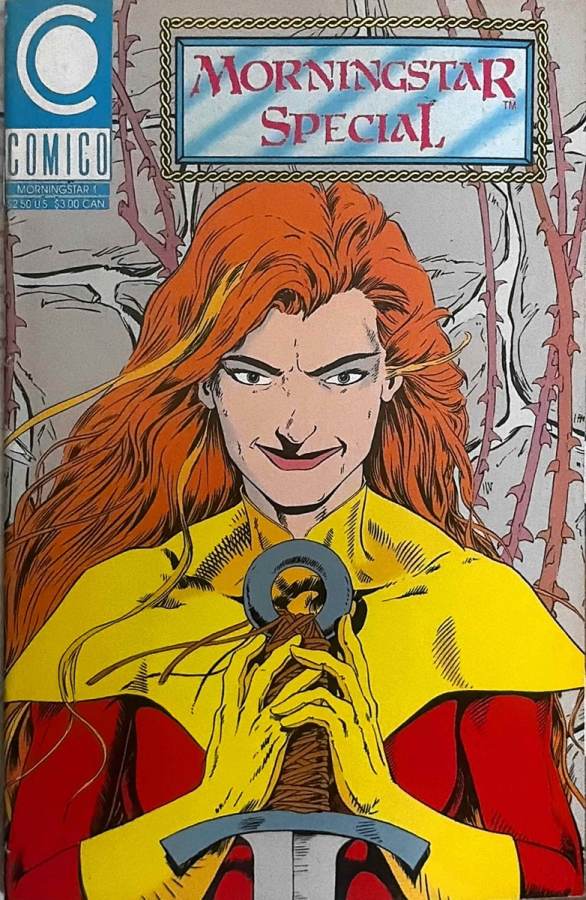Morningstar Special SKU 3637 cover