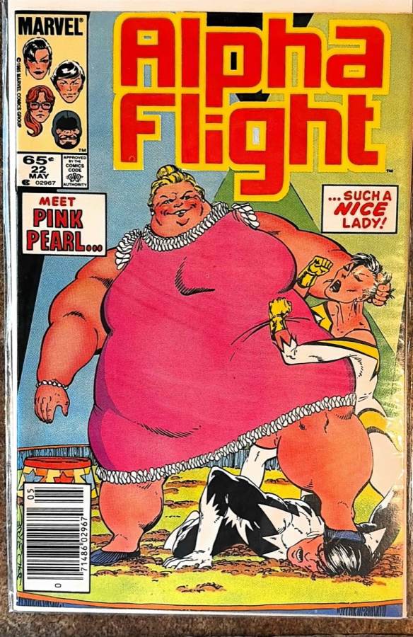 Alpha Flight #22 cover